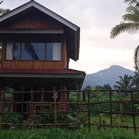 Coconut Homestay Tetebatu Εξωτερικό φωτογραφία
