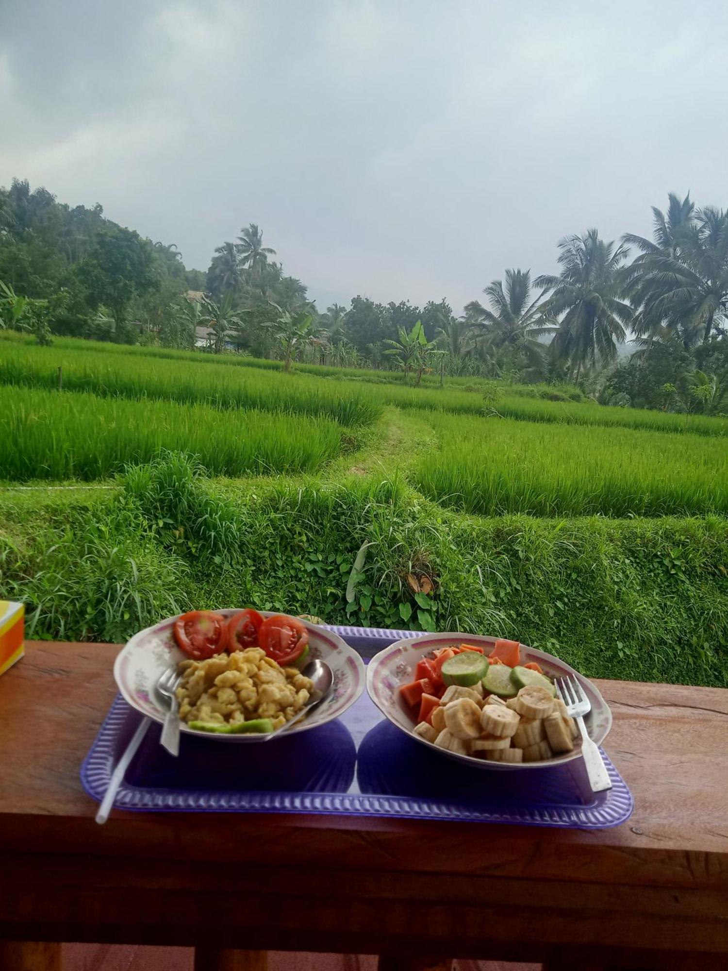 Coconut Homestay Tetebatu Εξωτερικό φωτογραφία