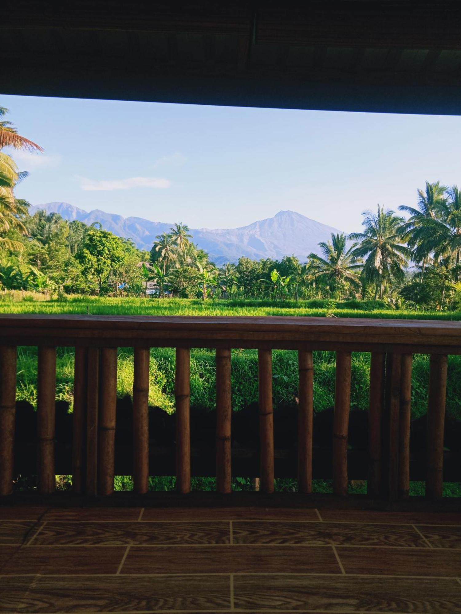 Coconut Homestay Tetebatu Εξωτερικό φωτογραφία