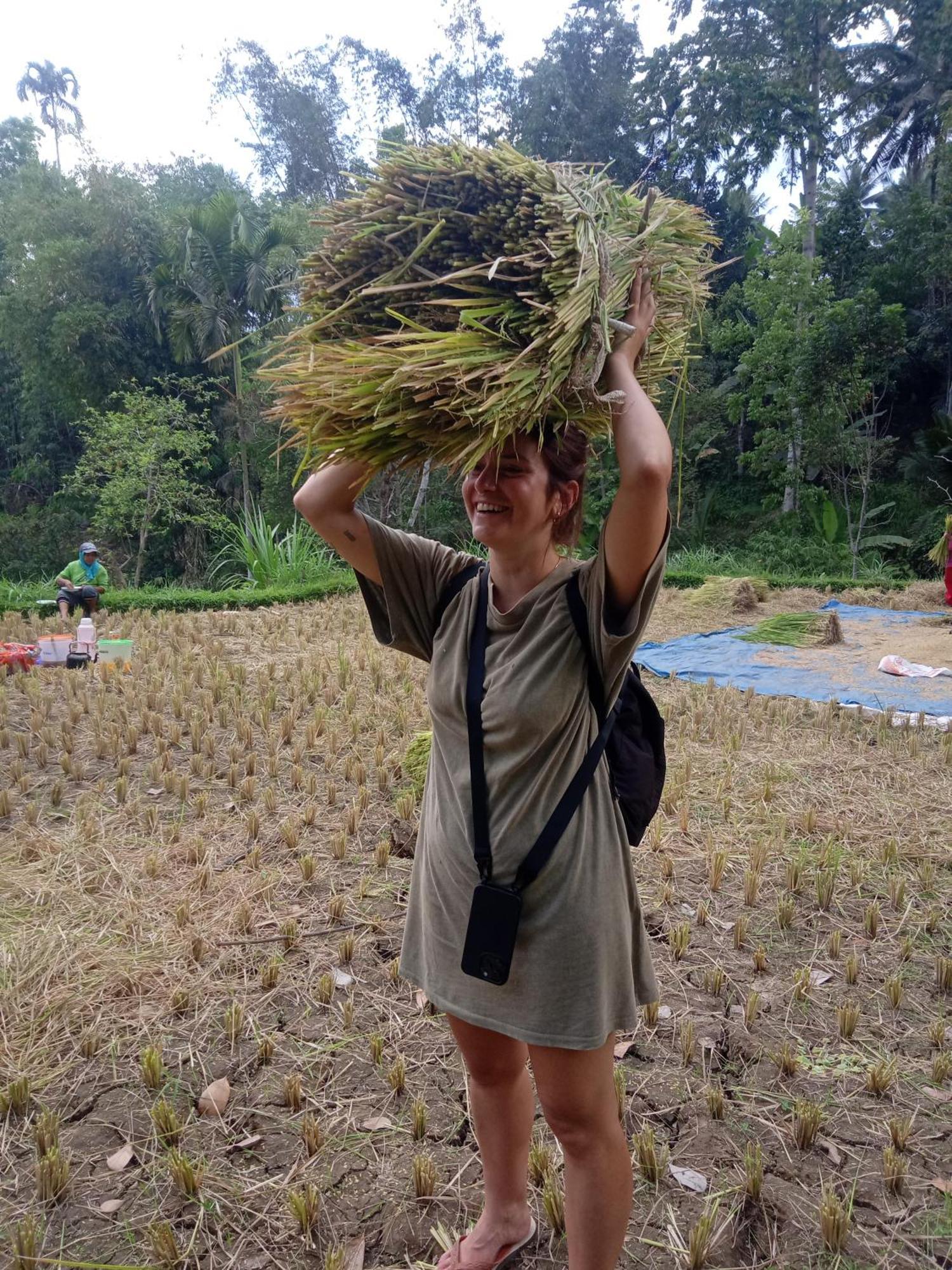 Coconut Homestay Tetebatu Εξωτερικό φωτογραφία
