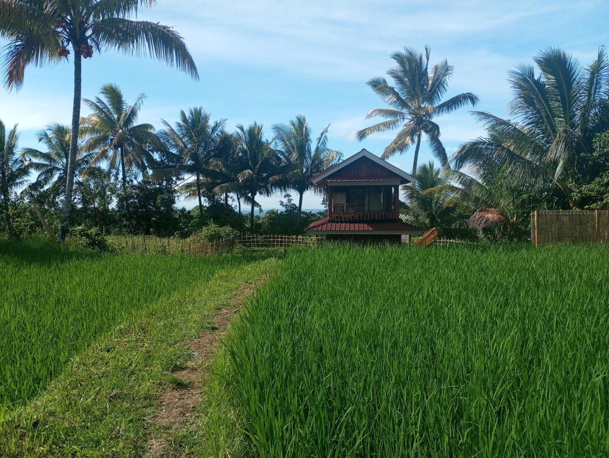Coconut Homestay Tetebatu Εξωτερικό φωτογραφία