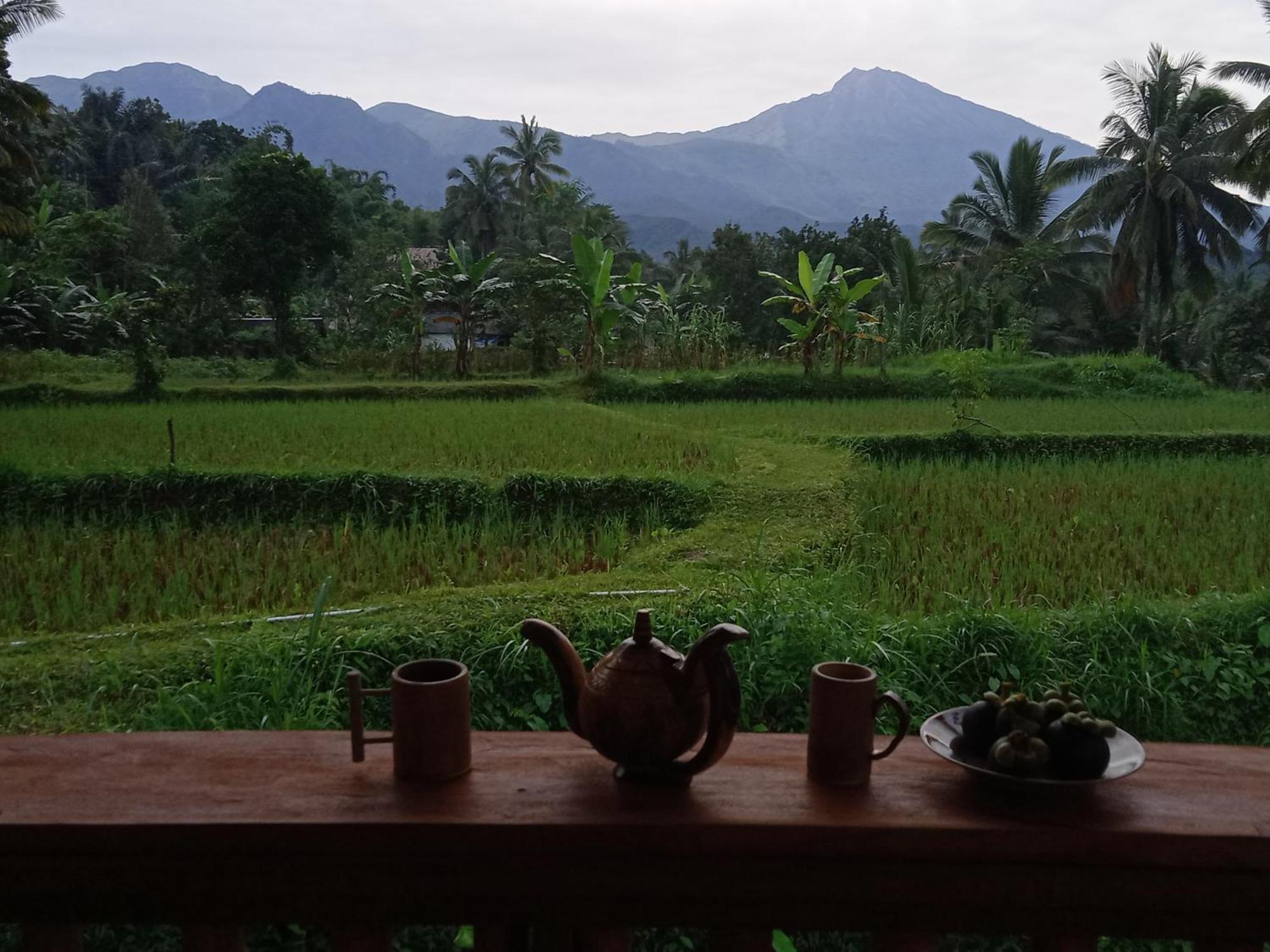 Coconut Homestay Tetebatu Εξωτερικό φωτογραφία
